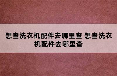 想查洗衣机配件去哪里查 想查洗衣机配件去哪里查